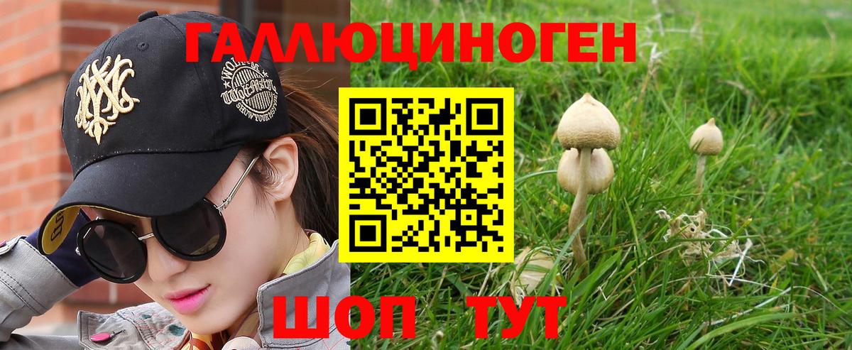 Галлюциногенные грибы мицелий  Вход с VPN  Галлюциногенные грибы GOLDEN TEACHER  Звенигород 
