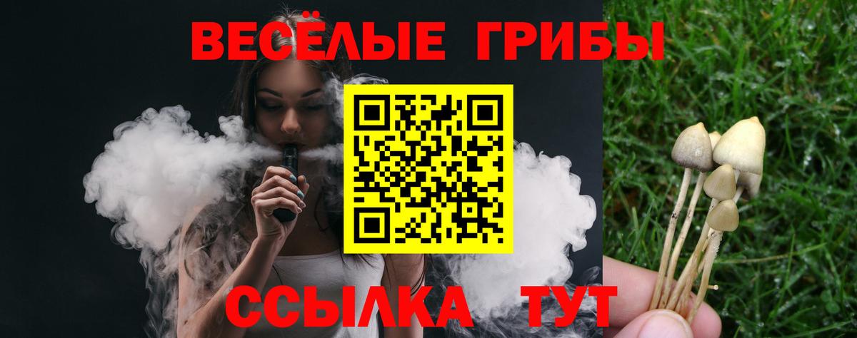 Галлюциногенные грибы Magic Shrooms Звенигород
